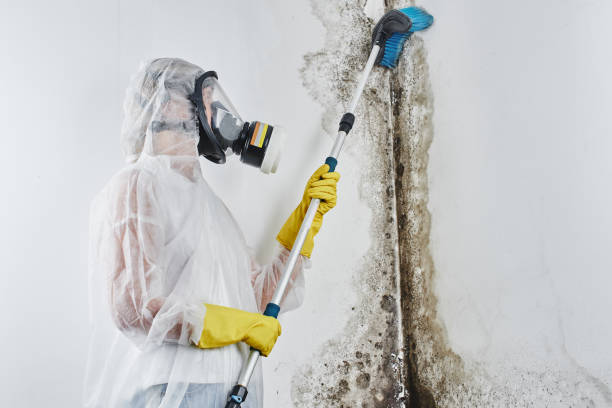 Best Mold Testing  in Allouez, WI