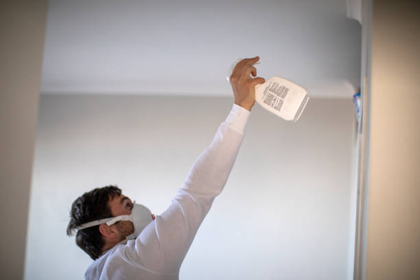 Best Same-Day Mold Removal  in Allouez, WI