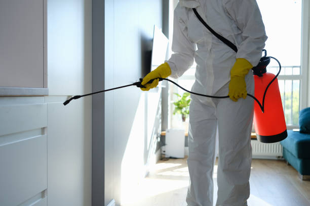 Attic Mold Removal in Allouez, WI