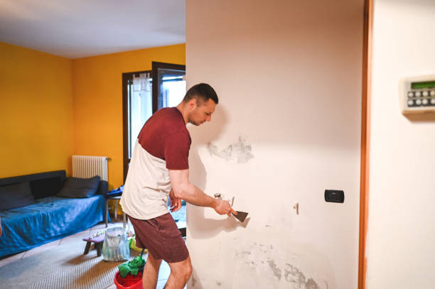 Best Mold Removal Company Near Me  in Allouez, WI